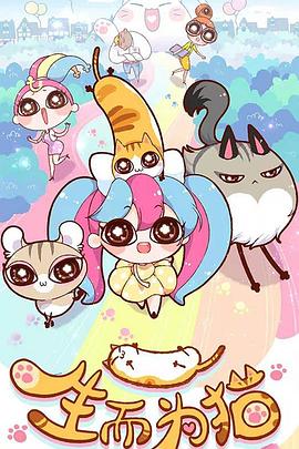 网站优化排名title